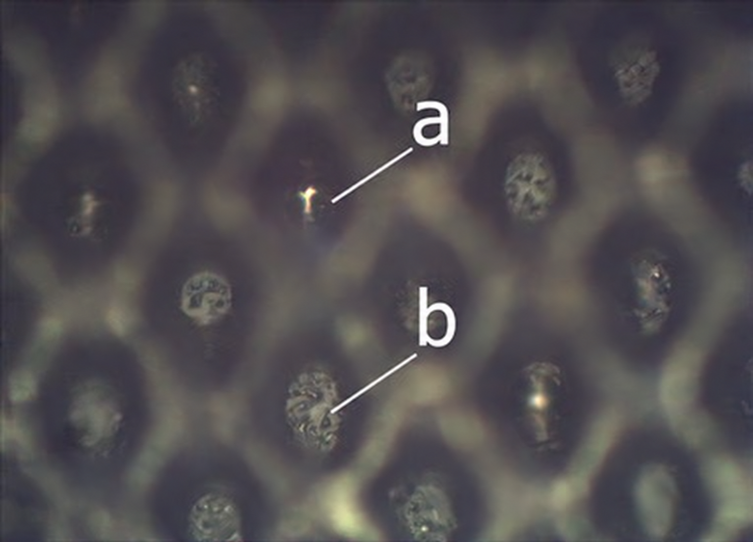Fig. 4. a) Clean cell floor; b) hardened ink.
