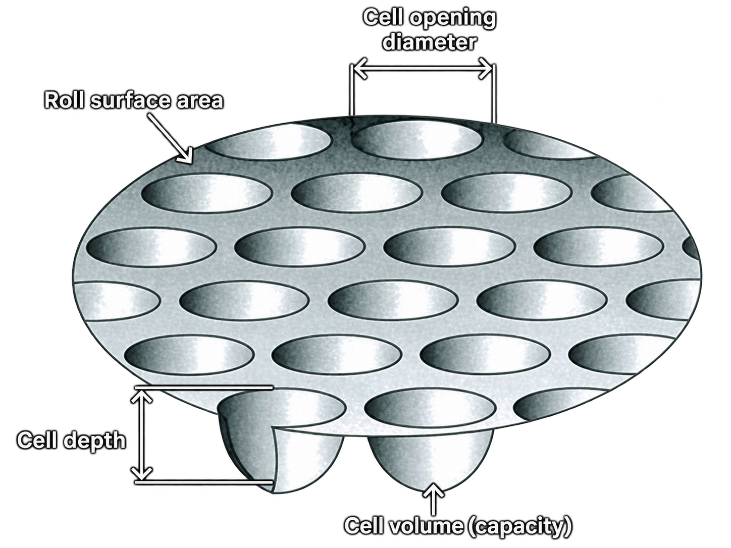 Anilox roll with cells and dimensions