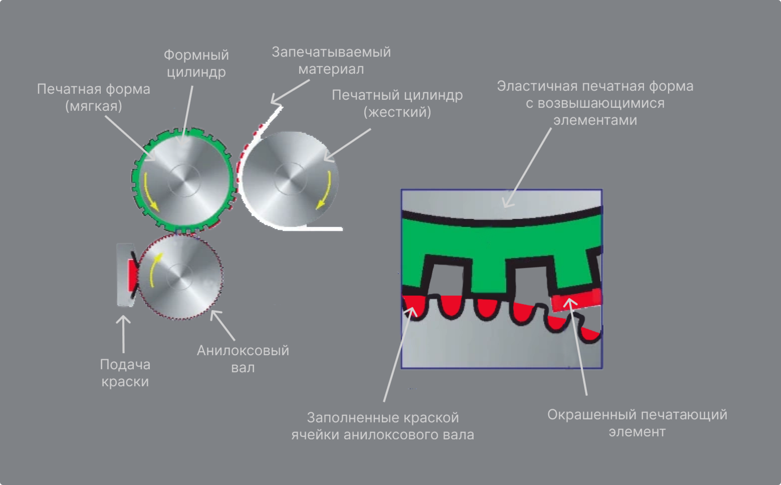 operating principle of a flexographic printing unit
