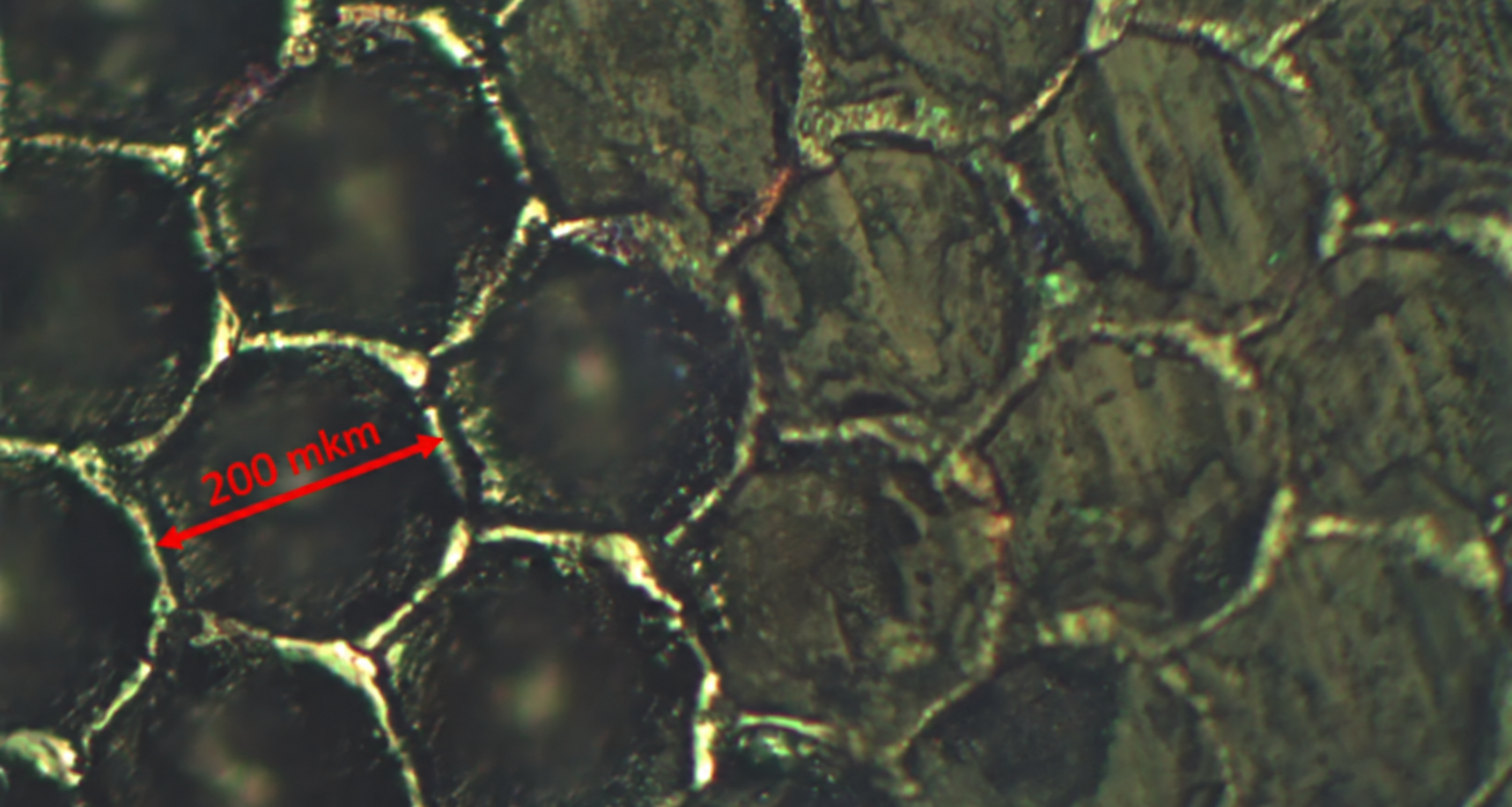 microfoto of anilox roll's cells