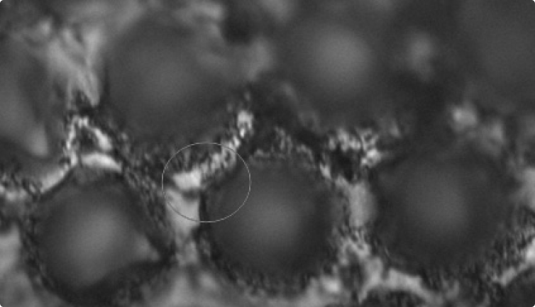 The circle marks the area of a cell wall examined after 40 cleaning cycles.
