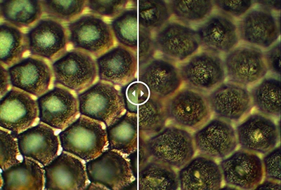 anilox cells before and after cleaning with LaserEcoClean technology 