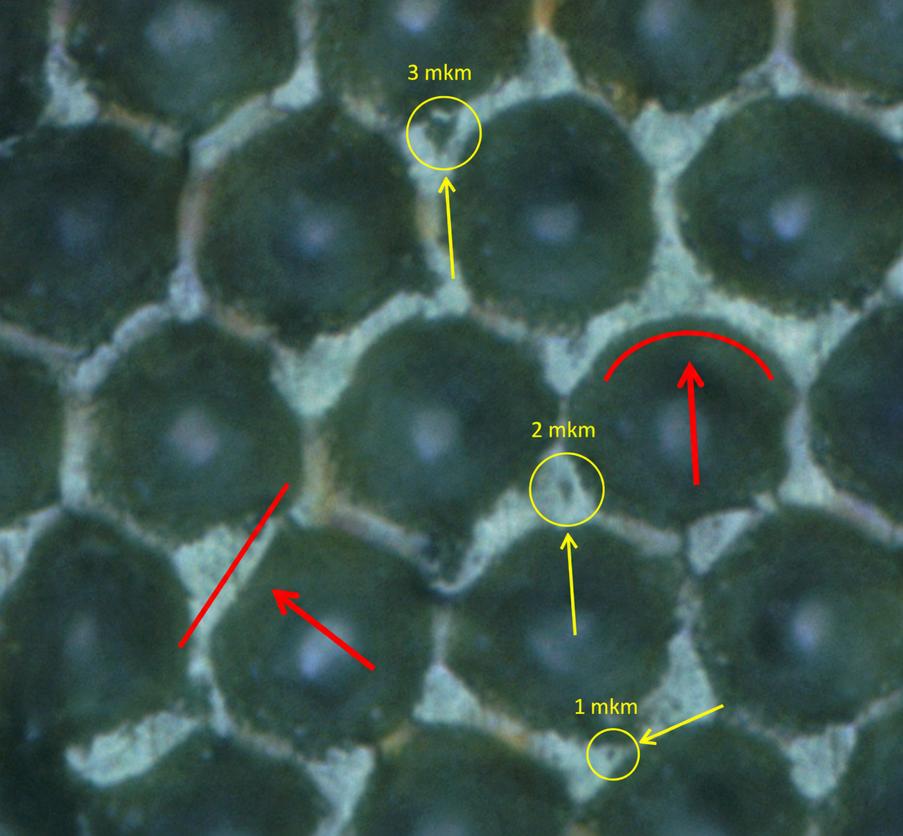 Fig. 2. Roll before cleaning.