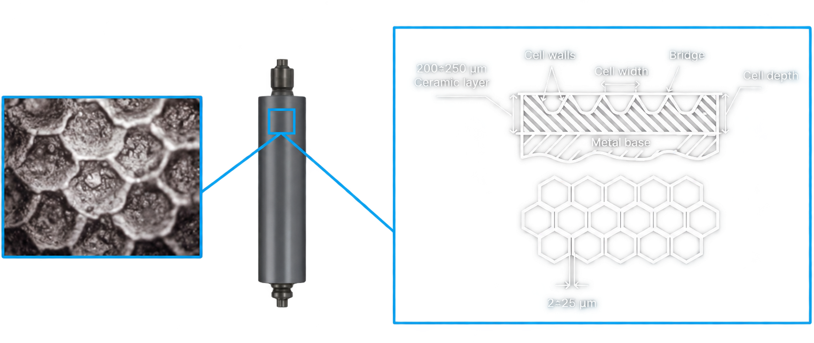 schematic of an anilox roll surface